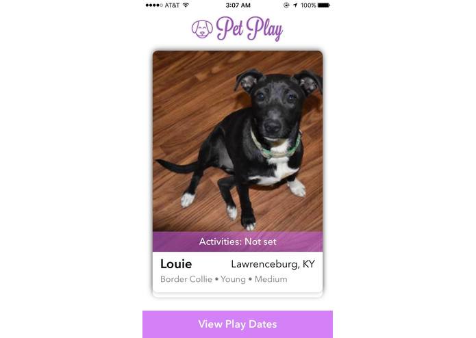 PetPlay – screenshot 2