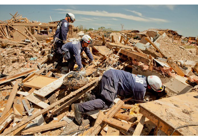 Dandelyon – screenshot 3