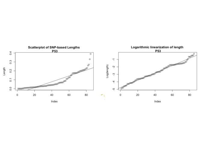 PhyloForest – screenshot 3