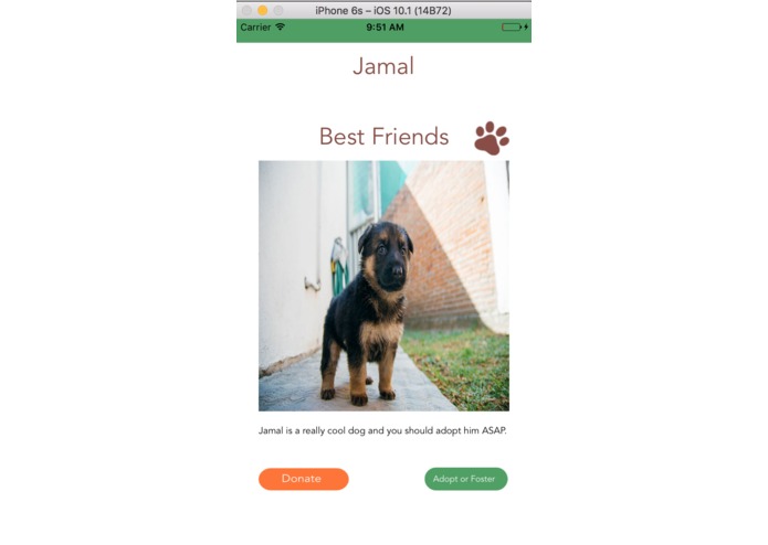 PawBank – screenshot 1