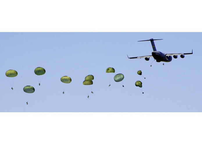 Dandelyon – screenshot 4