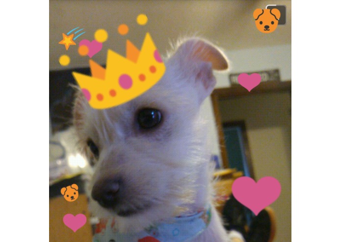 Emoji Draw – screenshot 5