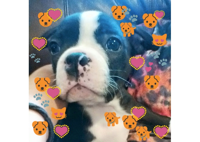 Emoji Draw – screenshot 10