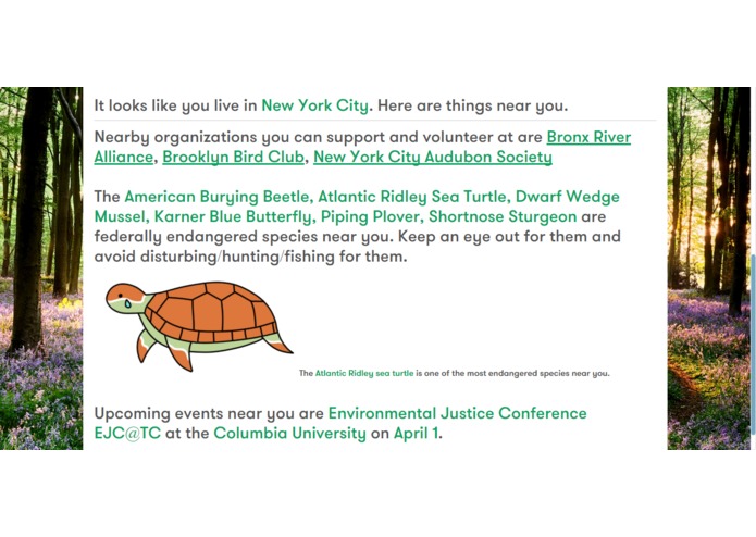 ecoSearch – screenshot 3