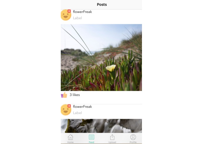 InstaGreen – screenshot 2