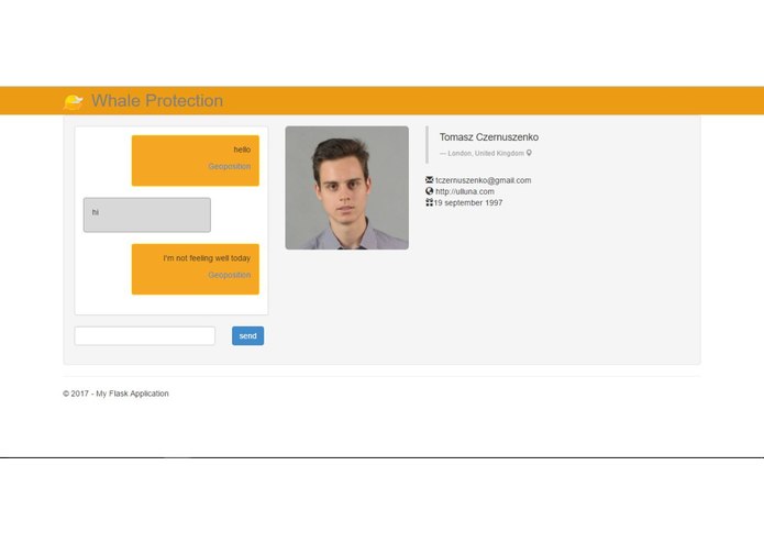 Whale Protection – screenshot 2