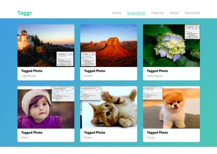 Taggr – screenshot 2