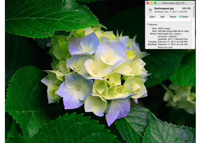 Taggr – screenshot 5