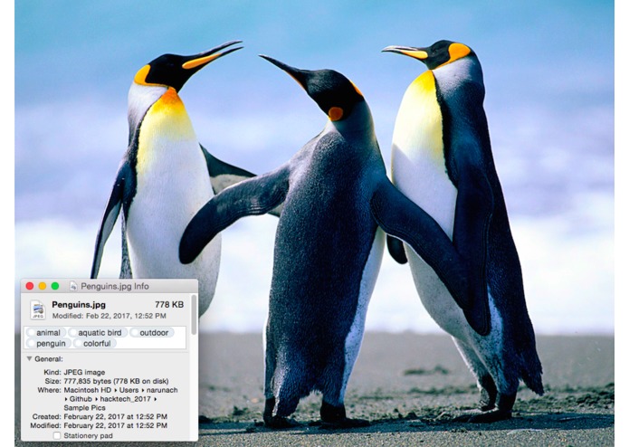 Taggr – screenshot 3