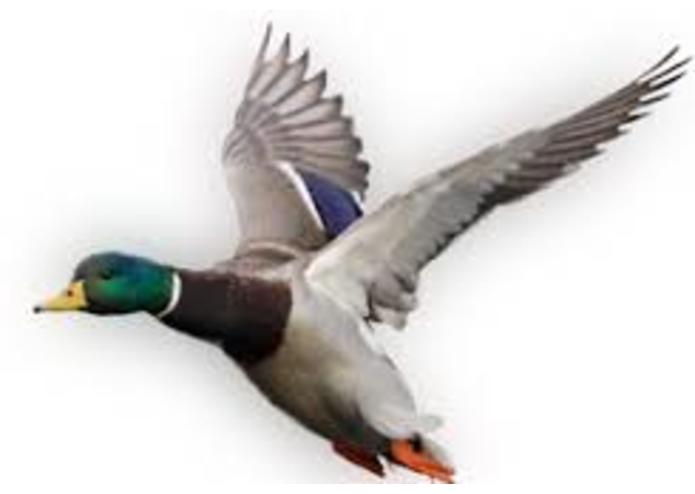 {14} Committed - Colvert – screenshot 5