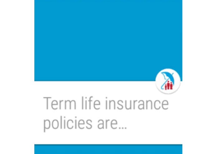 Insurance Expert – screenshot 4