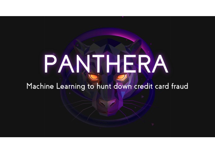 Panthera: Machine Learning to find Credit Card Fraud – screenshot 1
