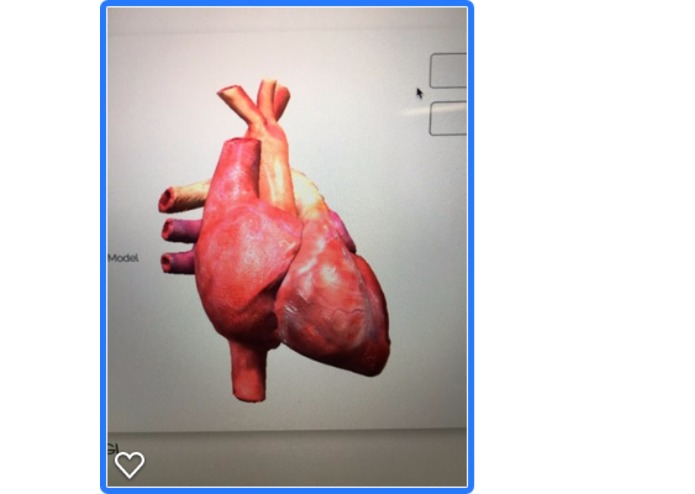 AugMentor – screenshot 1