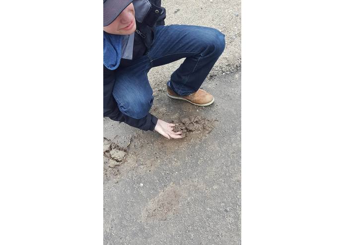 Poober – screenshot 3