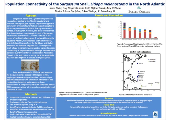 ><> Population Connectivity of the Sargassum Snail ><> – screenshot 1