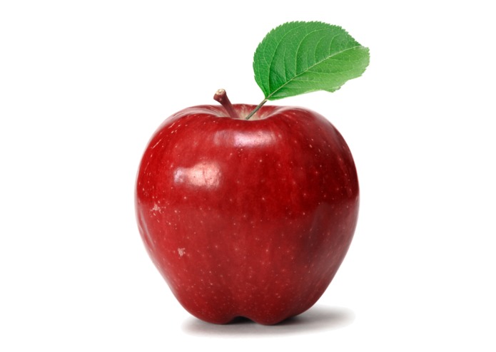 nutritionBot – screenshot 1