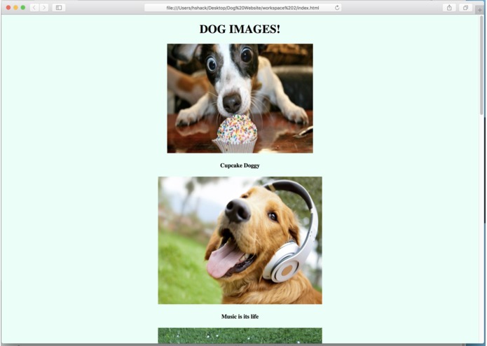Dog Website – screenshot 1