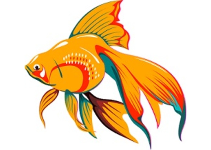 `Fishie – screenshot 7