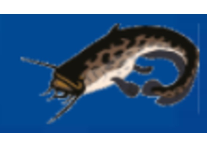 `Fishie – screenshot 6