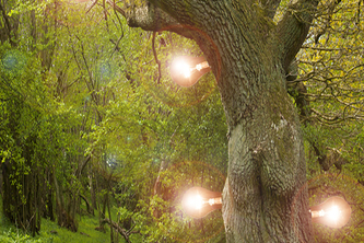 The "what the flying duck buttons"