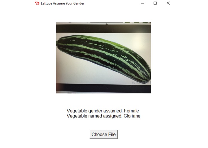 Lettuce Assume Your Gender – screenshot 1