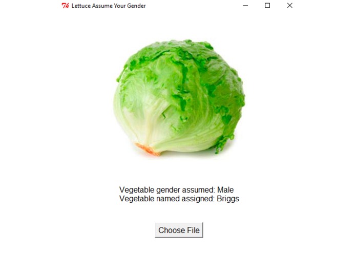 Lettuce Assume Your Gender – screenshot 2
