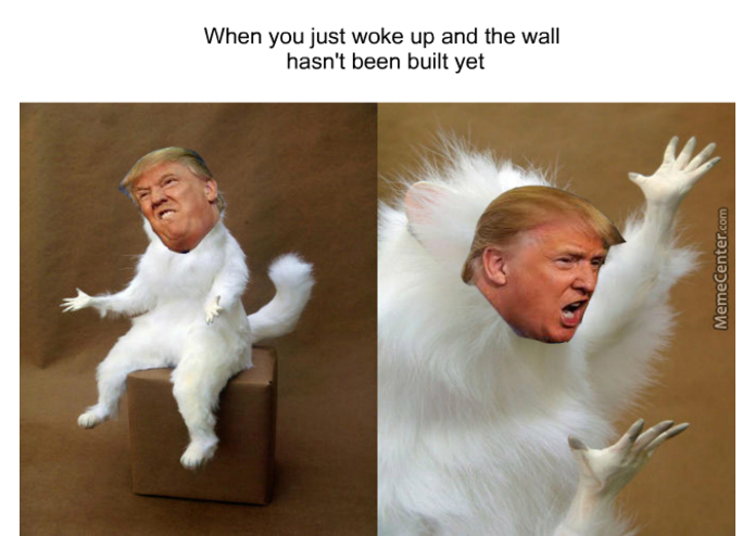 Maryland Meme Exchange (MDME) – screenshot 9