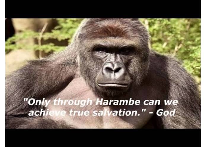 Maryland Meme Exchange (MDME) – screenshot 17