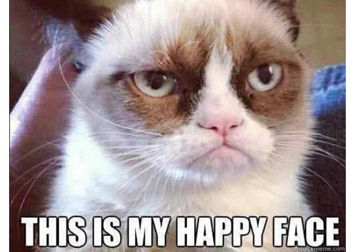 Maryland Meme Exchange (MDME) – screenshot 18