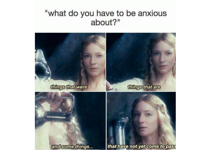 Maryland Meme Exchange (MDME) – screenshot 23