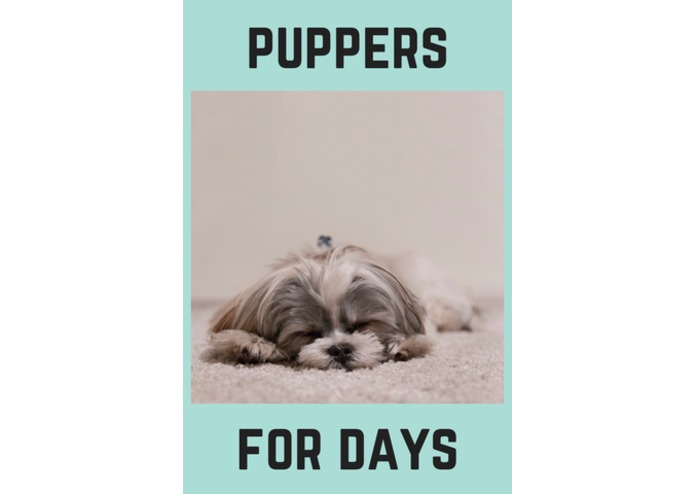 Happy Reacts Only – screenshot 5