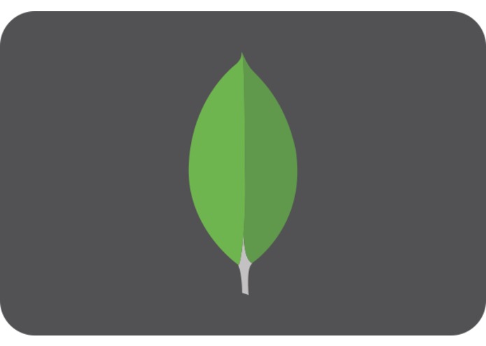 MongoDB Dictionary – screenshot 1