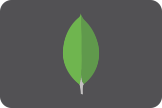 MongoDB Dictionary