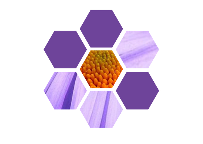 Come Back Bees – screenshot 1