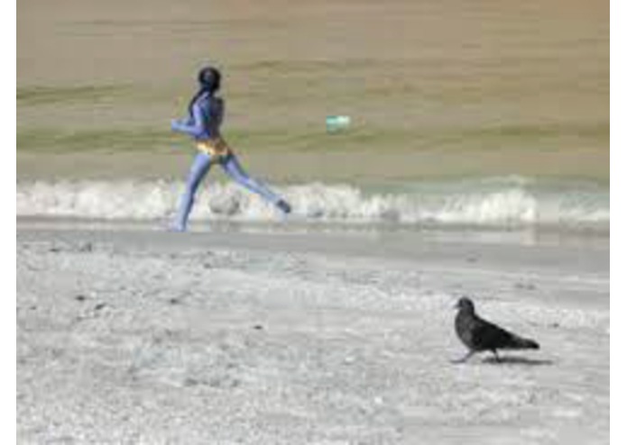 Photoshoplifting – screenshot 1