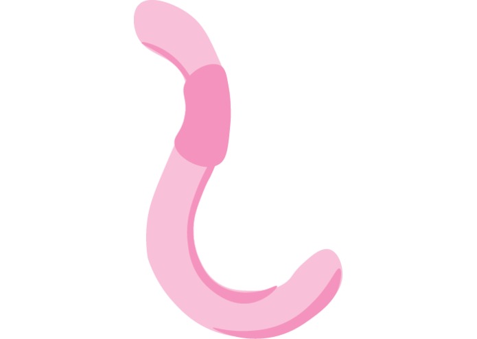 ShortWormMemory – screenshot 2