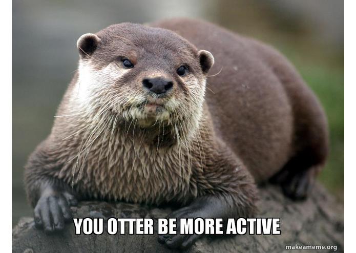 Otter be Active – screenshot 1