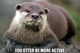 Otter be Active