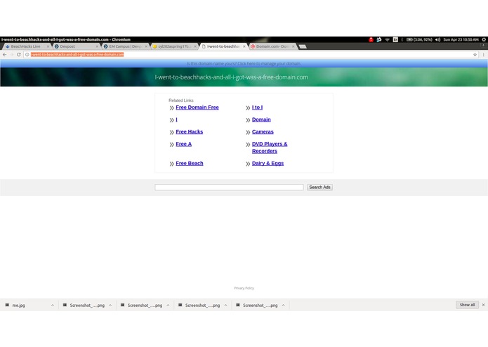 Punny Domain for BeachHacks 2017 – screenshot 1