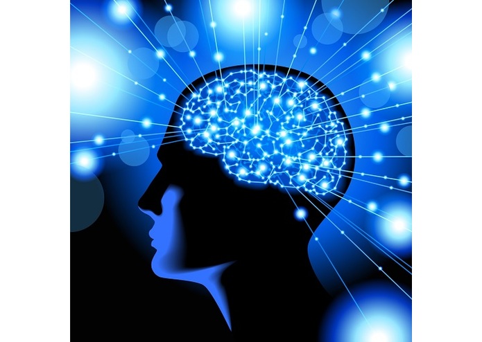 Mysterious Human Mind – screenshot 1