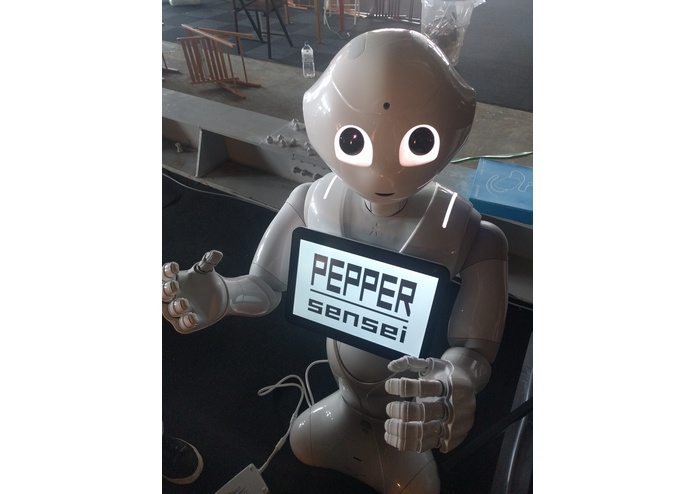 Pepper-sensei – screenshot 2