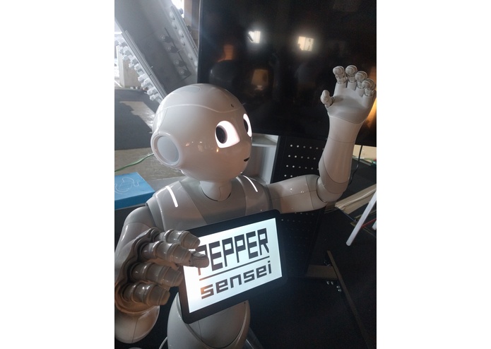 Pepper-sensei – screenshot 4