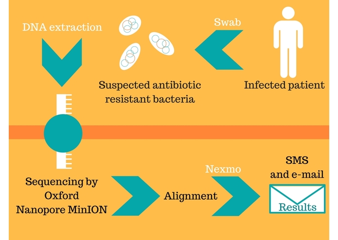 DNAmazing – screenshot 2