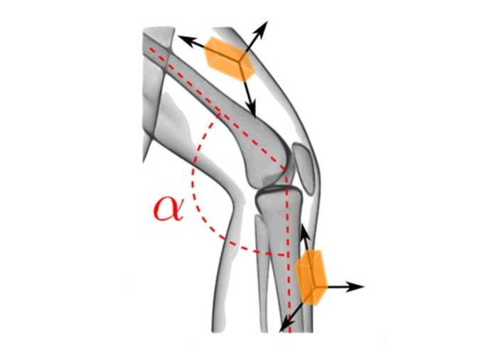 FlexRite – screenshot 1