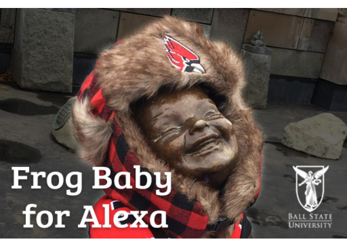Frog Baby for Alexa – screenshot 1
