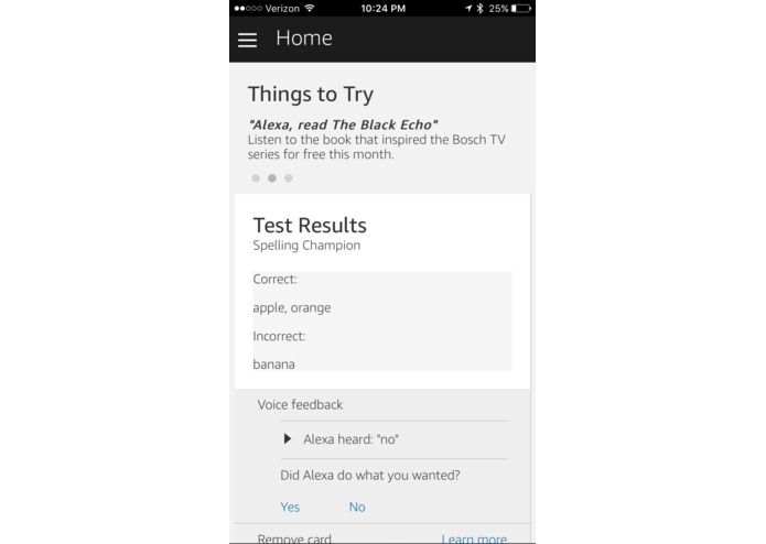 Spelling Champion – screenshot 1