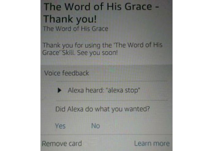 The Word of His Grace – screenshot 1