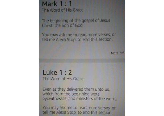 The Word of His Grace – screenshot 2