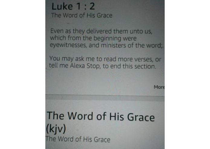 The Word of His Grace – screenshot 3