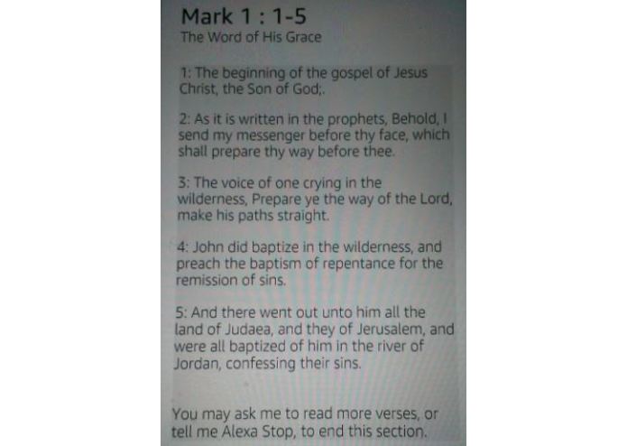 The Word of His Grace – screenshot 4